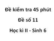 Đề kiểm tra 1 tiết Học kì 2 Sinh 6 [Đề số 11] : Nhóm thực vật sống ở cạn đầu tiên là