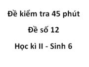 [Đề số 12] Đề kiểm tra kỳ II 45 phút môn Sinh 6: Hạt gồm những bộ phận nào ?