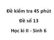 Đề kiểm tra 45 phút Học kì 2 môn Sinh 6 [Đề số 13]: Hạt hoa sữa, hạt thông, quả đậu bắp thuộc cách phát tán nào sau đây ?