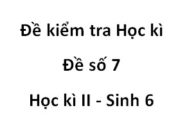 Kiểm tra học kì 2 Sinh học 6 Đề số 7: Nấm không phải là thực vật vì: