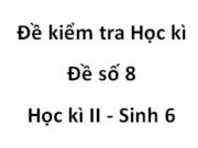 Kiểm tra môn Sinh học 6 học kì 2 Đề số 8: Giao phấn là hiện tượng…