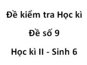 Đề kiểm tra học kì 2 Sinh học 6 [Đề 9]: Nhóm cây nào sau đây thuộc loại cây một lá mầm?