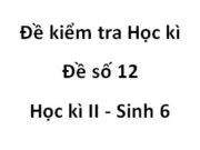 [Đề 12] Đề kiểm tra học kì 2 Sinh học 6: Đặc điểm được xem là tiến hóa hơn của rêu so với tảo là