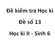 [Đề 13] Bài kiểm tra học kì 2 Sinh học 6: Thụ phấn là hiện tượng nào dưới đây ?