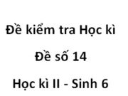 Đề 14 Đề thi học kì 2 Sinh học 6: Lí do nào dưới đây khiến rêu sống ở cạn nhưng chỉ phát triển được ở môi trường ẩm ướt ?