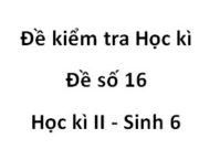 [Đề 16] Thi học kì 2 môn Sinh học 6: Phôi hạt chứa một lá mầm có ở cây