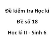 Đề 18 Kiểm tra Sinh học 6 học kì 2: Sự phát tán của quả và hạt là