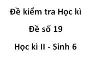 [Đề 19] Thi học kì 2 môn Sinh học 6: Khi gieo hạt cần phải