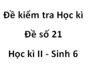 [Đề 21] Thi học kì 2 môn Sinh học 6: Chất dinh dưỡng dự trữ của hạt Hai lá mầm (như hạt đỗ đen…) chứa ở…