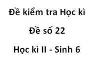 [Đề 22] Kiểm tra học kì 2 Sinh học 6: Lớp Hai lá mầm có kiểu rễ và gân lá là…