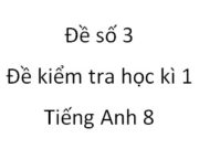 Đề số 3 – Kiểm tra học kì 1 Tiếng Anh lớp 8: According to the survey’s results…