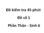 [Đề số 1] Đề 1 tiết Phần Thân môn Sinh 6: Thân gồm những bộ phận nào?