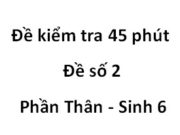 Kiểm tra 45 phút Phần Thân môn Sinh 6 Đề 2: Thân non gồm những bộ phận nào ?