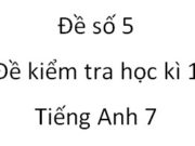 Thi học kì 1 môn Tiếng Anh 6 mới Đề số 5: Dave doesn’t have any class at school next week. ______