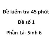 [Đề số 1] Kiểm tra 1 tiết Phần Lá Sinh 6: Gân lá có chức năng gì?