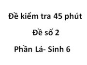 [Đề 2] Kiểm tra 45 phút Phần Lá Sinh 6: Những đặc điểm nào chứng tỏ lá rất đa dạng?