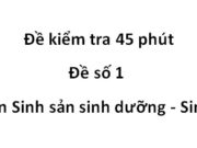 Đề 45 phút Đề 1 Phần Sinh sản sinh dưỡng Sinh 6: Muốn diệt cỏ dại người ta phải làm thế nào ? Vì sao?