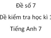 Đề kiểm tra học kì 1 Tiếng Anh 6 mới [Đề 7]: Sam has more than 4 best friends. ___________