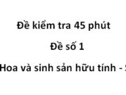 Đề thi và kiểm tra 1 tiết Sinh 6 Phần Hoa và sinh sản hữu tính [Đề 1]: Quả và hạt được tạo thành như thế nào?