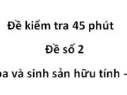 [Đề 2] Kiểm tra 45 phút Phần Hoa và sinh sản hữu tính Sinh 6: Sự thụ tinh diễn ra khi nào?