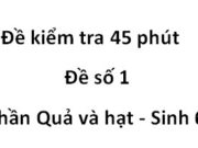 [Đề 1] Kiểm tra 45 phút Phần Quả và hạt Sinh 6: Cấu tạo của hạt như thế nào?